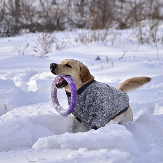 LiebeDD Hondentrui, Rolkraag Gebreide Hondentrui met Riemgat, Warme Wintertrui voor Grote Honden, Koud Weer Gebreide Kleding voor Labrador, Mopshond