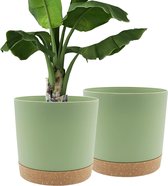 Bumper Pots Pak van 2, 30,5 cm, Bloempotten voor Binnenplanten met Afvoergaten en Verwijderbare Bodem, Onderzetter, Moderne Decoratie voor Tuinplanten (Groen, 30,5 cm)