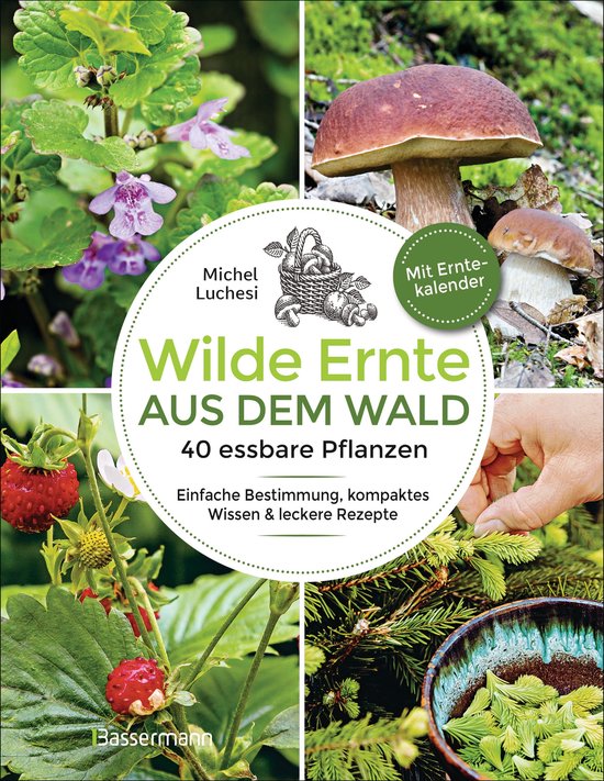 Wilde Ernte aus dem Wald 40 essbare Pflanzen einfache Bestimmung