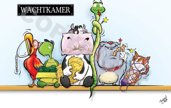 Caricature vétérinaire sur plexiglas - Animaux dans la salle d'attente - Caricature unique - Roland Hols - Aspect Luxe - 30 x 40 cm - 5 mm d'épaisseur - comprenant 4 entretoises chromées (coloris argent)