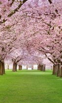 Fotobehang - Cherry Trees 150x250cm - Vliesbehang