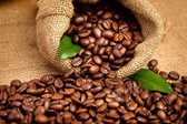 Fotobehang - Coffee Beans 375x250cm - Vliesbehang