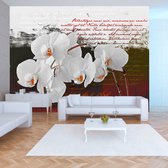 Fotobehangkoning - Behang - Vliesbehang - Fotobehang - Diary and orchid - Orchidee - Dagboek - Bloemen - 300 x 210 cm