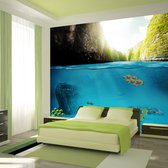 Fotobehangkoning - Behang - Vliesbehang - Fotobehang - Under the waterline - Vissen - Onderwaterwereld - 150 x 105 cm