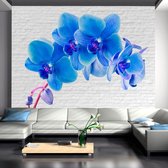 Fotobehangkoning - Behang - Vliesbehang - Fotobehang -  Blue excitation - Blauwe Bloemen op Witte Stenen - 100 x 70 cm
