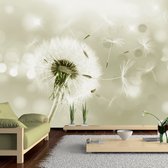 Fotobehangkoning - Behang - Vliesbehang - Fotobehang Paardenbloem in de Wind - 350 x 245 cm