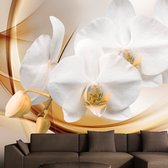 Fotobehangkoning - Behang - Vliesbehang - Fotobehang Orchidee - Orchid blossom - 200 x 140 cm