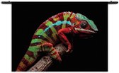 Velours Wandkleed De Kameleon Rechthoek Horizontaal S (40 X 60 CM) - Wandkleden - Met roedes