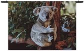 Velours Wandkleed De Vastgelamde Koala Rechthoek Horizontaal XL (105 X 150 CM) - Wandkleden - Met roedes