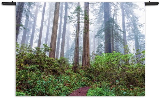 Velours Wandkleed Sequoia bos Rechthoek Horizontaal M (65 X 90 CM) - Wandkleden - Met roedes