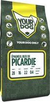 Yourdog épagneul bleu de picardie pup - 3 KG