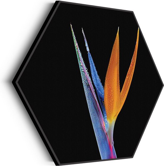 Akoestisch Schilderij Tropische Strelitzia Hexagon Basic M (60 X 52 CM) - Akoestisch paneel - Akoestische Panelen - Akoestische wanddecoratie - Akoestisch wandpaneel