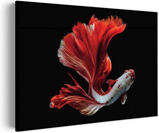 Akoestisch Schilderij The Betta Fish Rechthoek Horizontaal Basic L (100 x 72 CM) - Akoestisch paneel - Akoestische Panelen - Akoestische wanddecoratie - Akoestisch wandpaneel