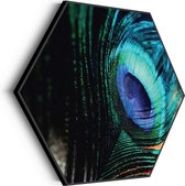 Akoestisch Schilderij Een veer van de Pauw Hexagon Basic M (60 X 52 CM) - Akoestisch paneel - Akoestische Panelen - Akoestische wanddecoratie - Akoestisch wandpaneel