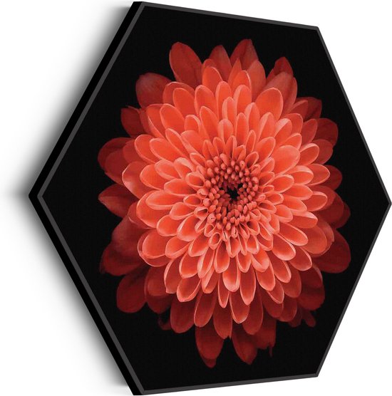 Akoestisch Schilderij Oranje Dahlia Hexagon Basic XL (140 X 121 CM) - Akoestisch paneel - Akoestische Panelen - Akoestische wanddecoratie - Akoestisch wandpaneel