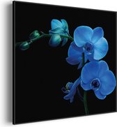 Akoestisch Schilderij Orchidee Vierkant Basic XL (100X100) - Akoestisch paneel - Akoestische Panelen - Akoestische wanddecoratie - Akoestisch wandpaneel