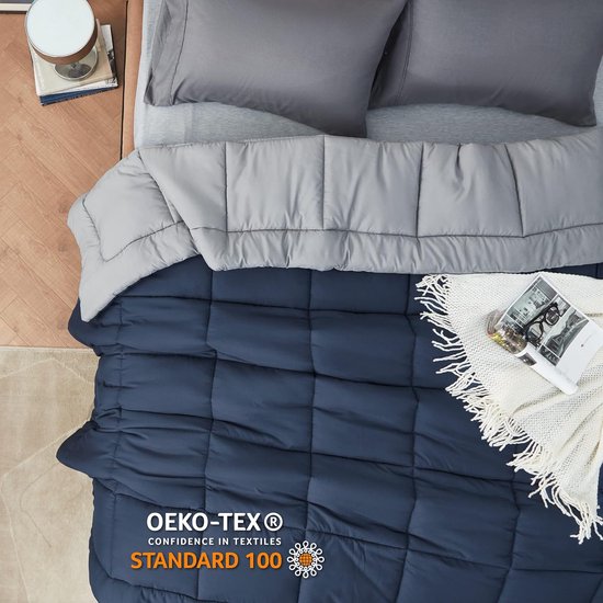 Dekbed, 200 x 200 cm, omkeerbaar dekbed voor het hele jaar, Oeko-Tex-gecertificeerd, 300 g/m², 200 x 200 cm, 4 seizoenen, blauw, zachte warme slaapdeken voor mensen met een allergie