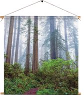Textielposter Sequoia bos Vierkant XL (60 X 60 CM) - Wandkleed - Wanddoek - Wanddecoratie