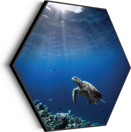 Akoestisch Schilderij Zeeschildpad In Helderblauw Water 03 Hexagon Basic M (60 X 52 CM) - Akoestisch paneel - Akoestische Panelen - Akoestische wanddecoratie - Akoestisch wandpaneel