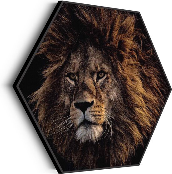 Akoestisch Schilderij The Lion Hexagon Basic L (100 X 86 CM) - Akoestisch paneel - Akoestische Panelen - Akoestische wanddecoratie - Akoestisch wandpaneel