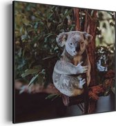 Akoestisch Schilderij De Vastgelamde Koala Vierkant Basic XXL (140 X 140 CM) - Akoestisch paneel - Akoestische Panelen - Akoestische wanddecoratie - Akoestisch wandpaneel