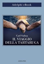 Il viaggio della tartaruga