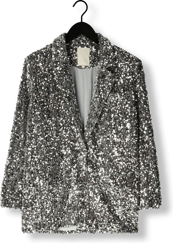 NotreV Nvchristine Glitter Velvet Blazer Blazers Dames Zilver