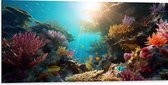 Dibond - Onderwater - Oceaan - Zee - Koraal - Vissen - Kleuren - Zon - 100x50 cm Foto op Aluminium (Wanddecoratie van metaal)