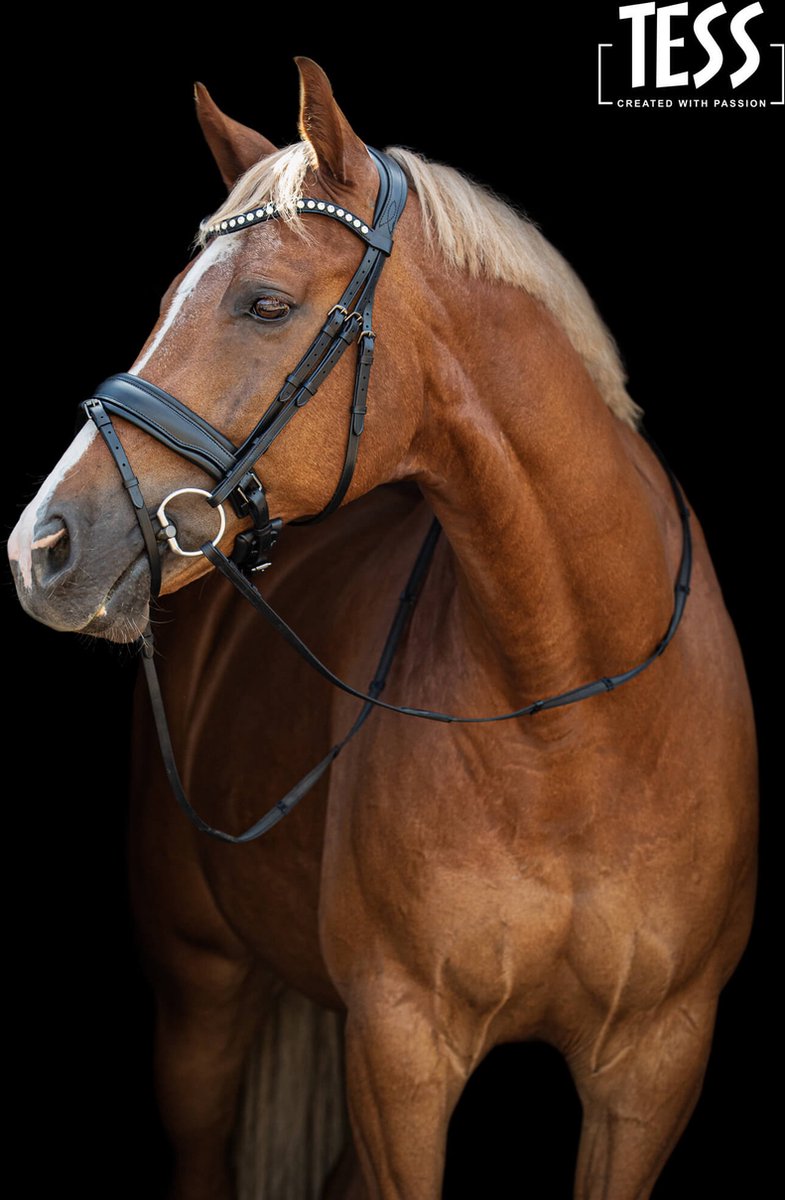 Hoofdstel TESS Standaard trenshoofdstel Slim zwart/mat zwart maat Cob