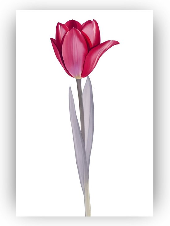 Rode tulp poster - Poster tulpen - Minimalisme - Bloemen poster - Woonkamer posters - Waterverf poster - 80 x 120 cm