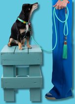 DWAM Dog with a Mission Hondenriem – Riem voor honden – Turquoise – Polyester/Leer – L – 155 x 1.4 cm – Jade