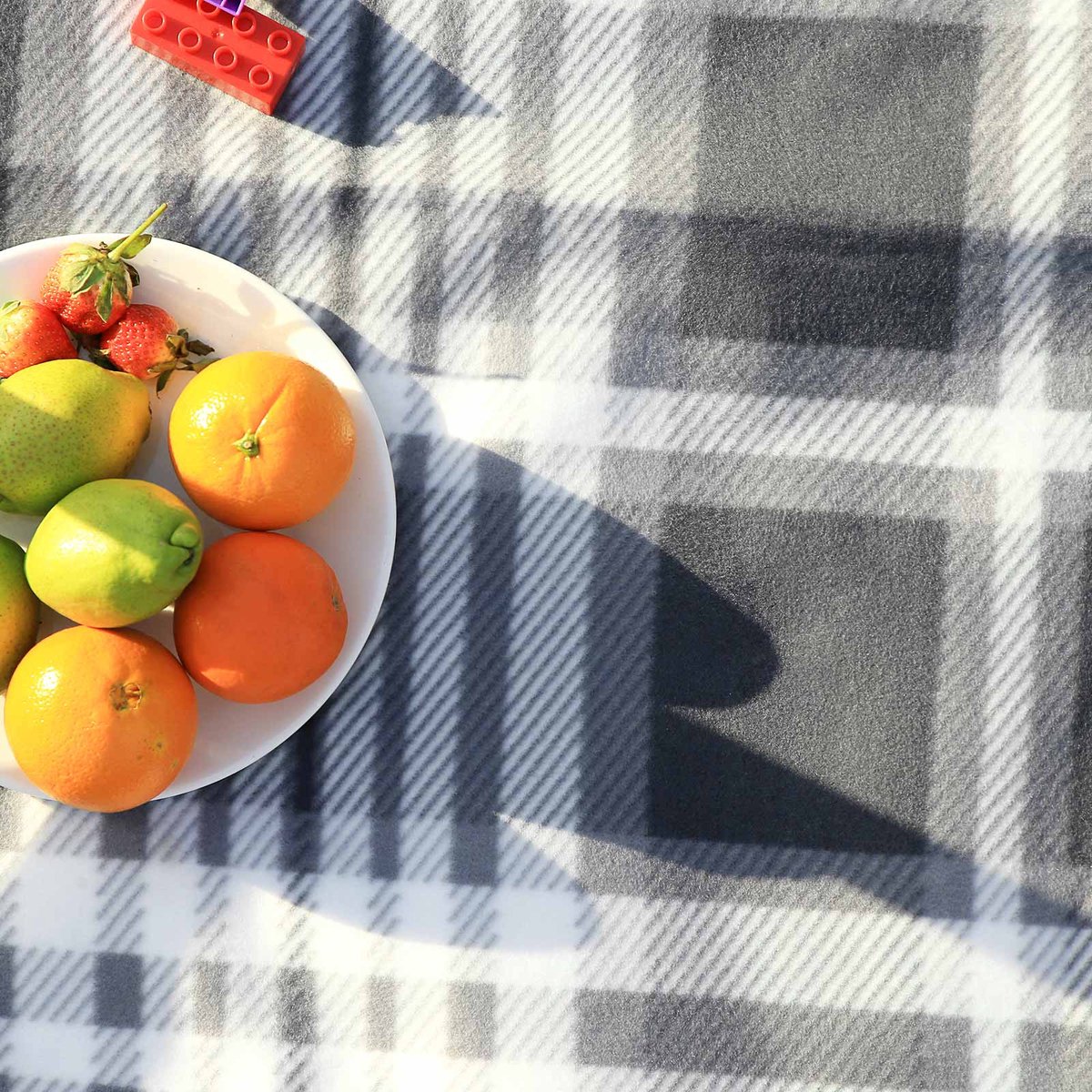 SONGMICS Picknickdecke, Decke aus Fleece, wasserdicht, 195 x 150 cm, bunt GCM61C