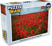 Puzzel Een weiland vol met klaprozen - Legpuzzel - Puzzel 1000 stukjes volwassenen