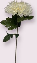 Zijden kunstbloem Chrysant | Wit | Lengte 65 centimeter
