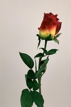 Zijden kunstbloem Roos | Rood | Lengte 65 centimeter