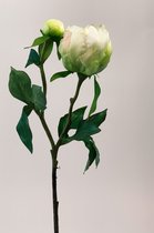 Zijden kunstbloem Pioenroos | Wit | Lengte 45 centimeter