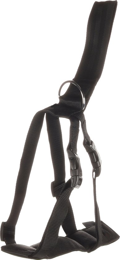 Flamingo - Honden Auto Veiligheidstuig Baro