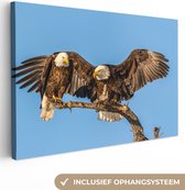 Canvas schilderij - Vogel - Takken - Arend - Roofvogels - Lucht - Schilderijen op canvas - Foto op canvas - 60x40 cm - Wanddecoratie - Slaapkamer