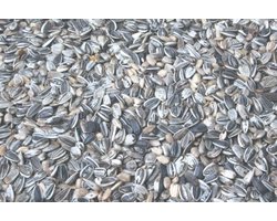Wielink Gestreepte zonnebloempitten 750 gram