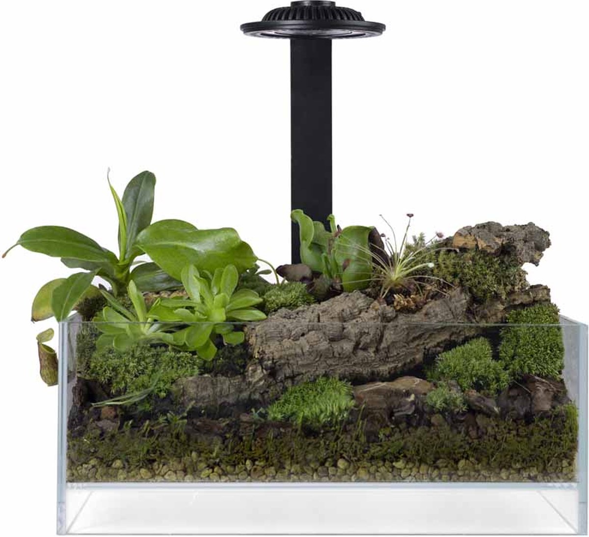Wabi Kusa Bio Air Tank zwart 20 x 20 x 8 cm met LED