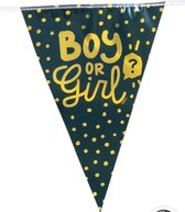 Vlaggenlijn Boy or girl - gender reveal - 6 meter