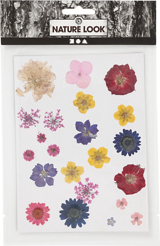 Fleurs séchées, Diverse couleurs, 1 boîte