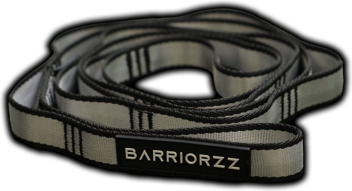 Zilver Touw voor Dipping Belt - Vervanging voor ketting - Dip Belt Rope - Weight belt Rope