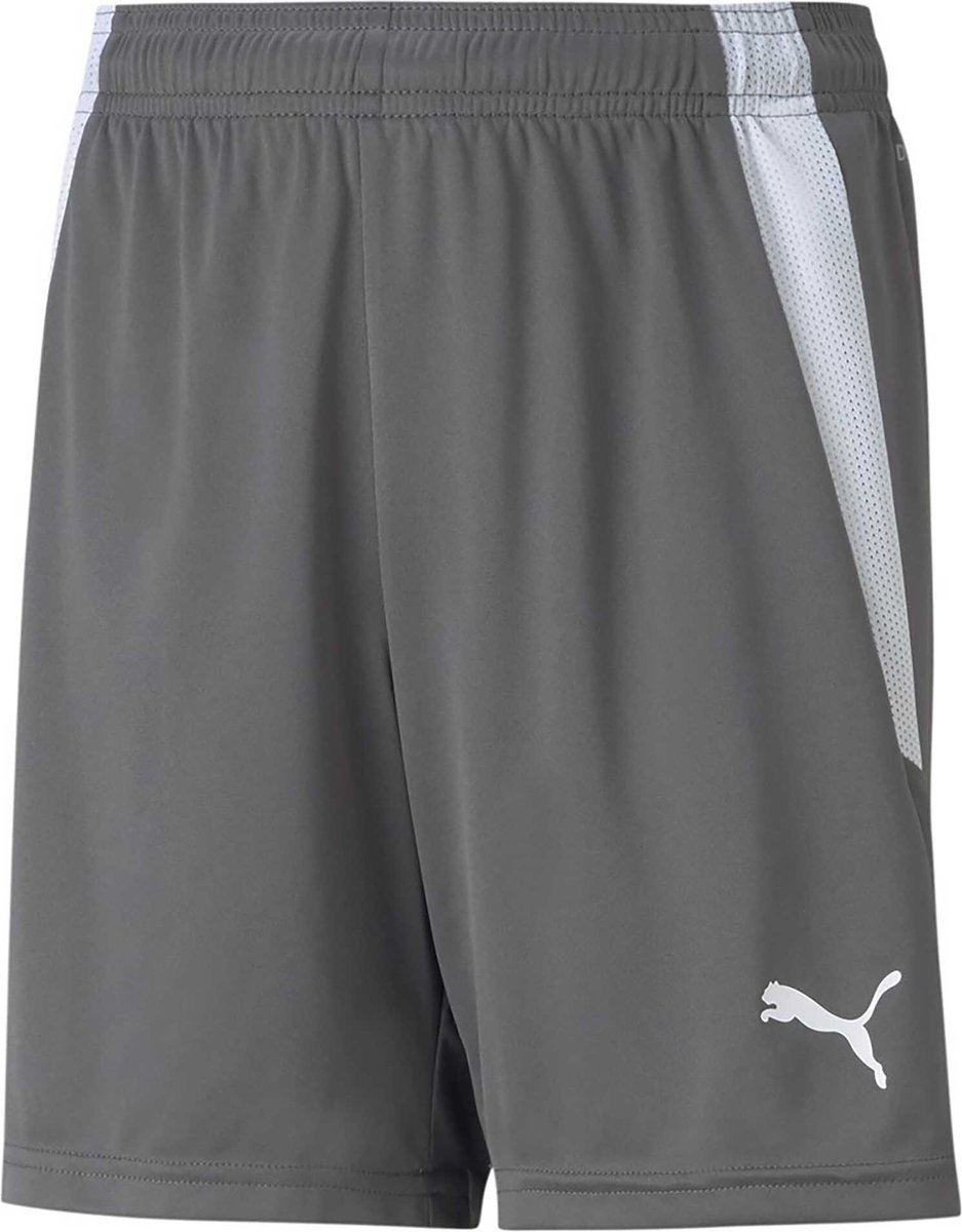Puma Teamliga Short Kinderen - Grijs | Maat: 140