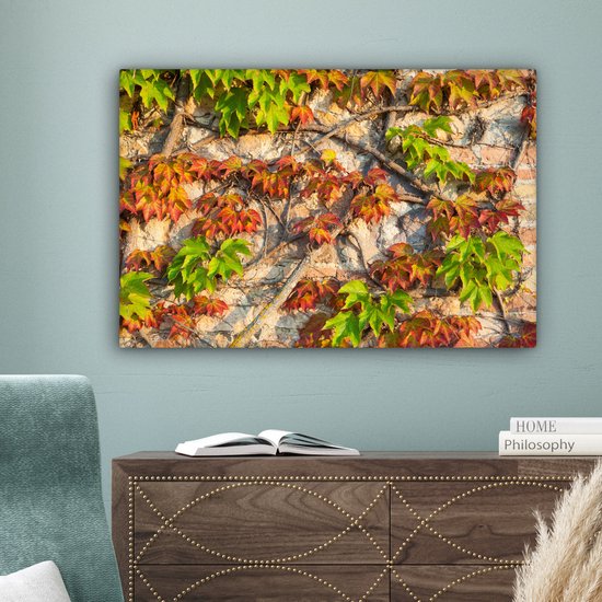 Feuilles d'Hedera rouges et vertes sur un mur de pierre Toile 180x120 cm - Tirage photo sur Toile (Décoration murale salon / chambre) XXL / Grand format!