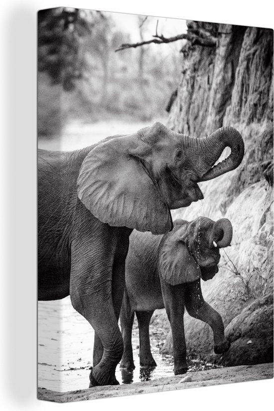 Boire bébé éléphant avec sa mère en 60x80 cm en noir et blanc - impression photo sur toile peinture (Décoration murale salon / chambre à coucher) / Animaux sauvages Peintures Toile