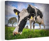Canvas Schilderij Koeien - Labels - Dieren - 30x20 cm - Wanddecoratie
