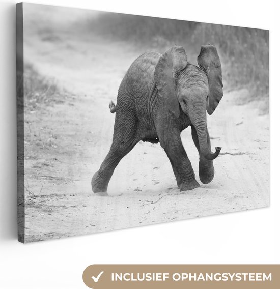 Canvas Schilderij Olifant - Baby - Dieren - Pad - Zwart wit - 60x40 cm - Wanddecoratie