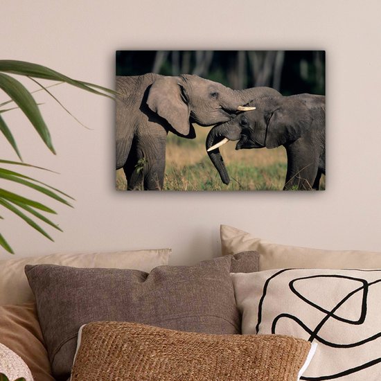 Toile d'éléphants gambadeurs 2cm 30x20 cm - petit - Tirage photo sur toile (Décoration murale salon / chambre) / animaux sauvages Peintures sur toile