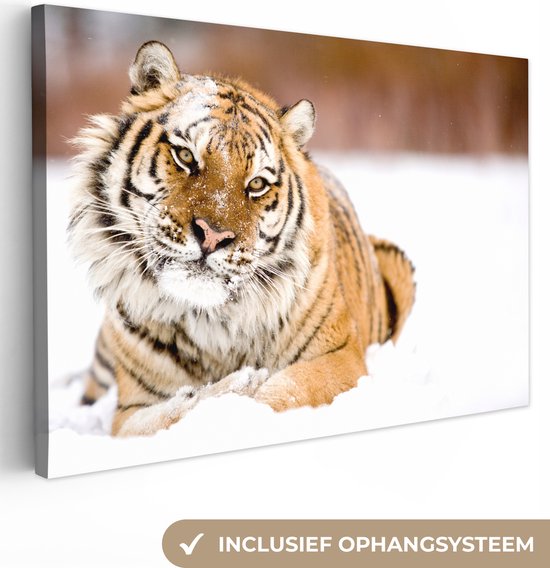 Tigre de l'Amour dans la neige Toile 80x60 cm - Tirage photo sur toile (Décoration murale salon / chambre) / Peintures sur toile Animaux